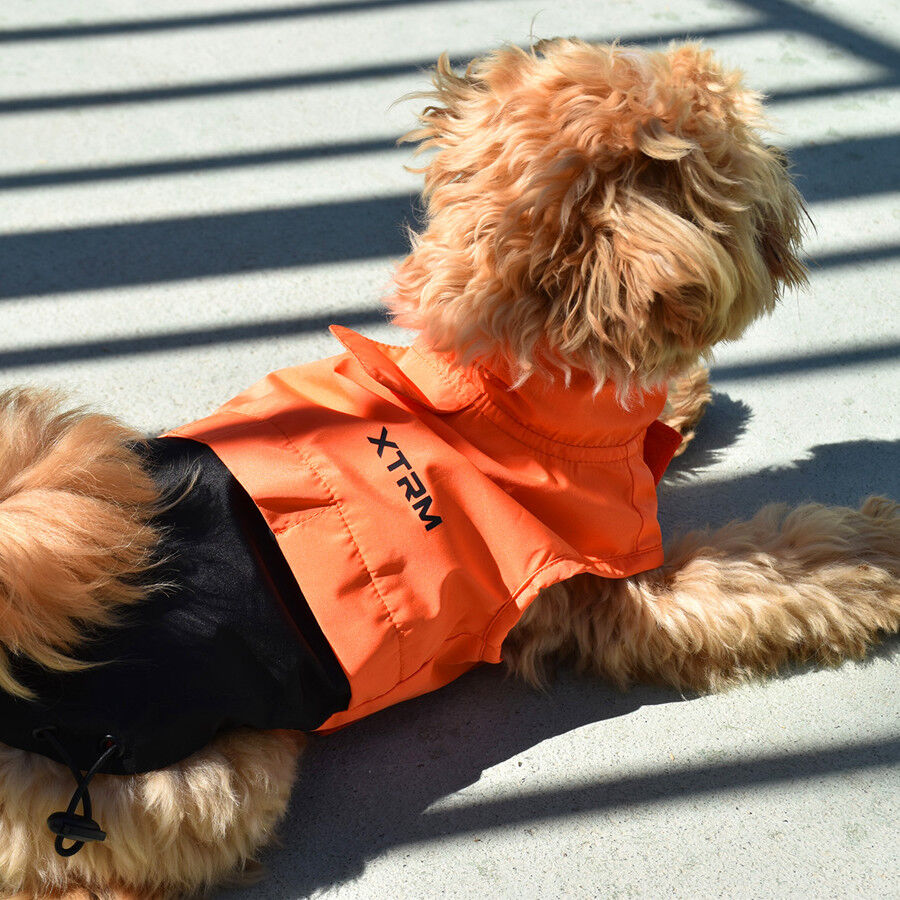 Nayeco X-TRM Chubasquero Naranja y Negro para perros, , large Imagen numero 1