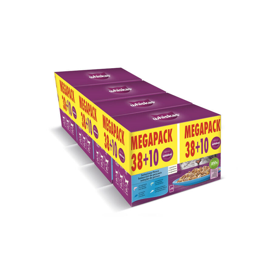 24 sobres x 85 g Whiskas Selecci&oacute;n Pescados Gelatina en Bolsita para gatos, , large Imagen numero 1