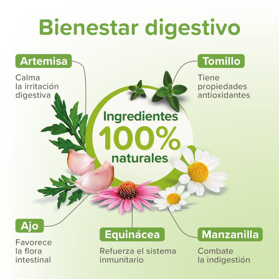 Beaphar Vermipure Repelente Interno Natural en comprimidos para perros peque&ntilde;os y cachorros, , large Imagen numero 3