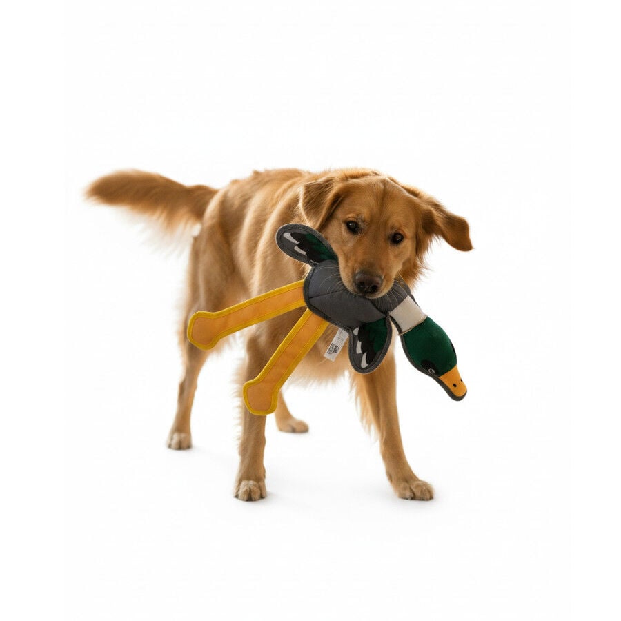 LOVE THE EARTH Peluche Resistente Pato con Sonido para perros, , large Imagen numero 4