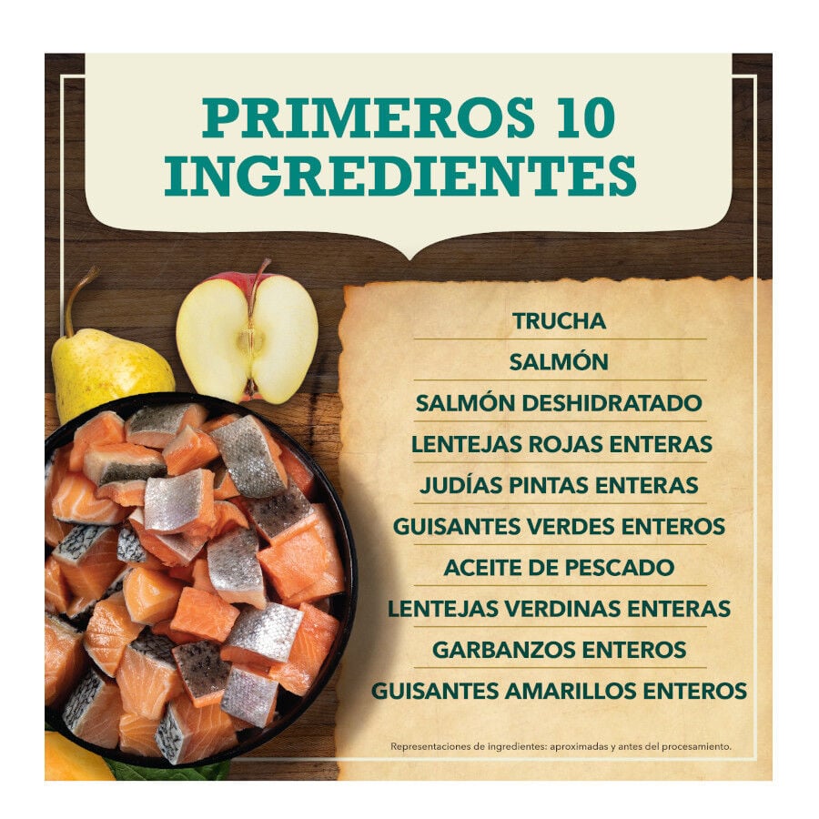 11.4 kg Acana Coldwater Fish pienso para perros, , large Imagen numero 4