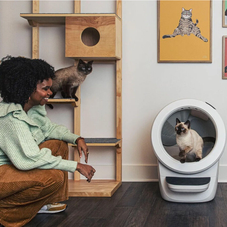 Litter-Robot Arenero Autolimpiable Blanco para gatos, , large indicador imagen numero 6