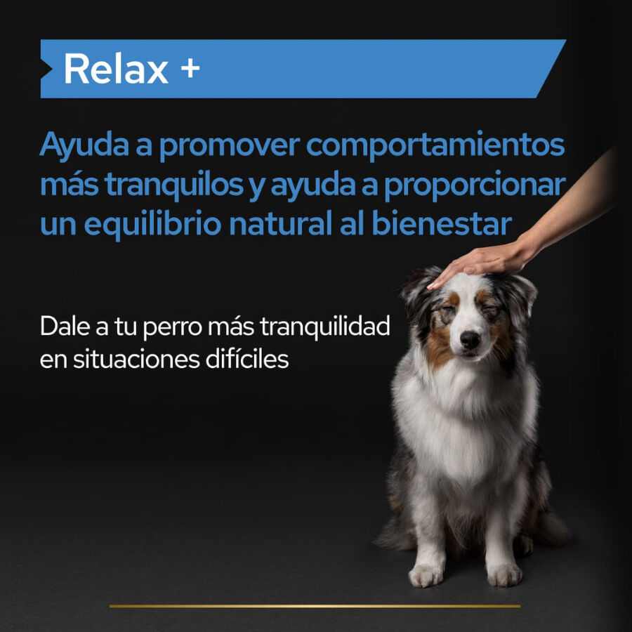 250 ml Pro Plan Relax + Suplemento en Aceite para perros, , large indicador imagen numero 3