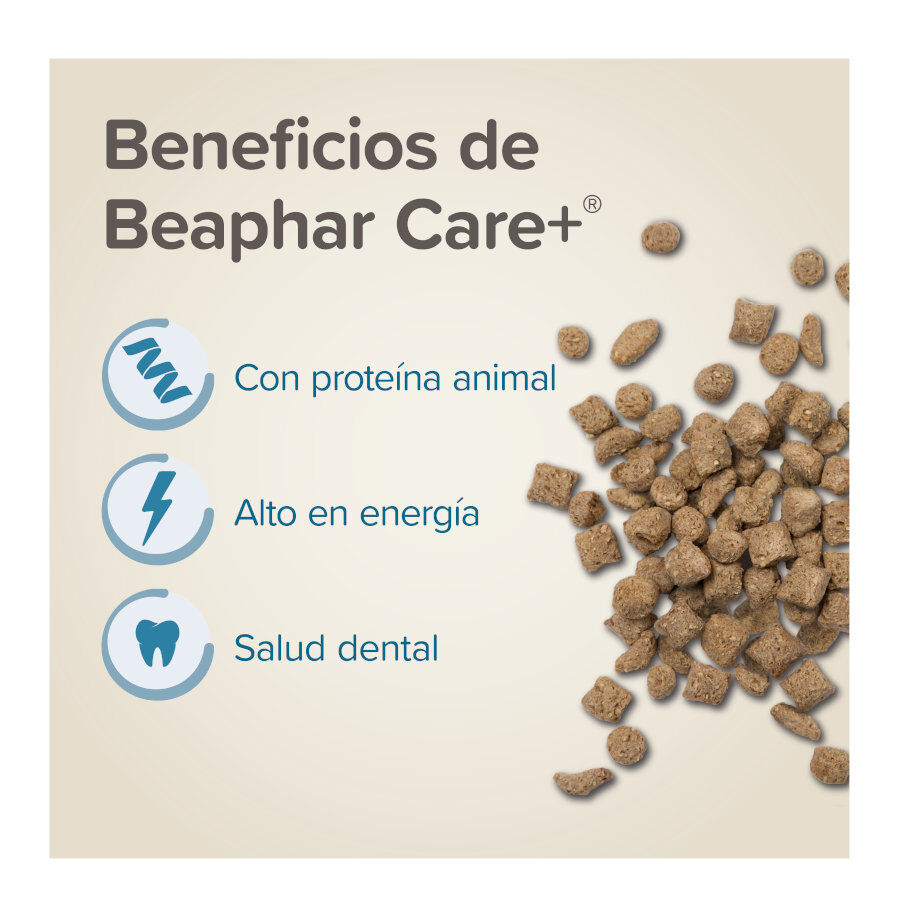 700 g Beaphar Care+ Pienso para h&aacute;msteres, , large Imagen numero 3