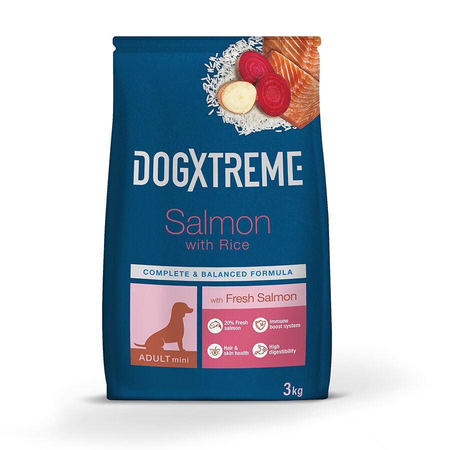 Dogxtreme Adult Mini Salm&oacute;n pienso