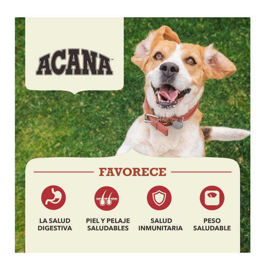 11.4 kg Acana Red Meat pienso para perros, , large Imagen numero 3