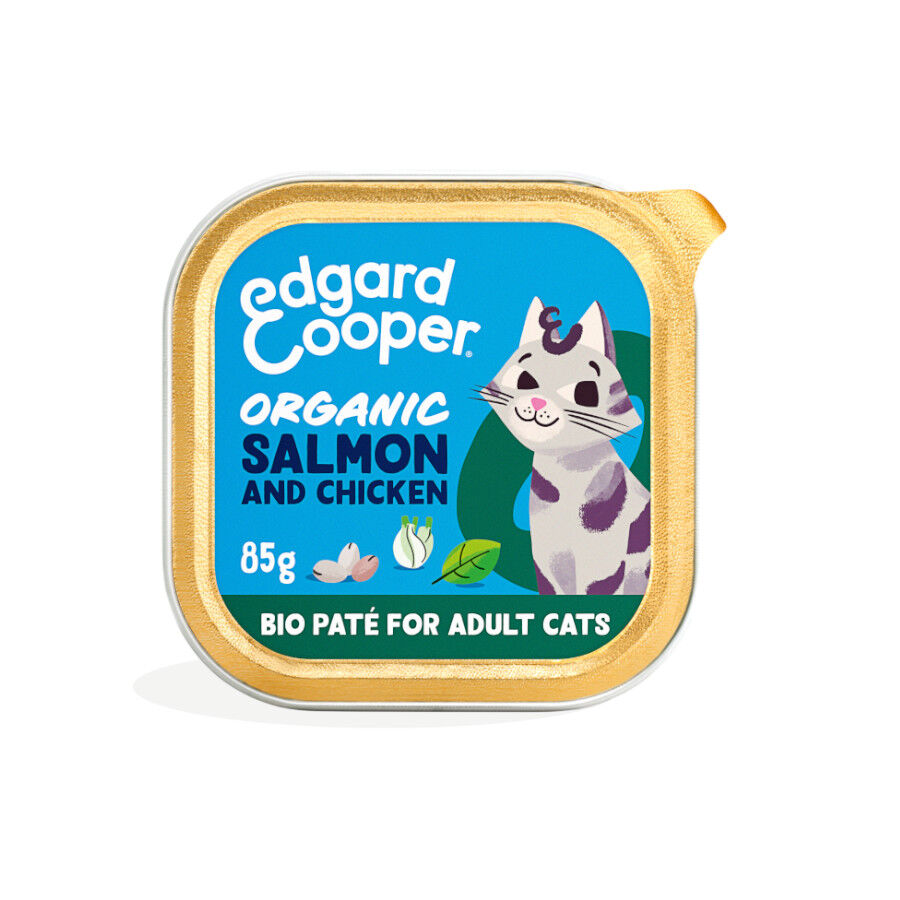 Edgard & Cooper Adult Salm&oacute;n y Pollo Ecol&oacute;gicos en Pat&eacute; tarrina para gatos