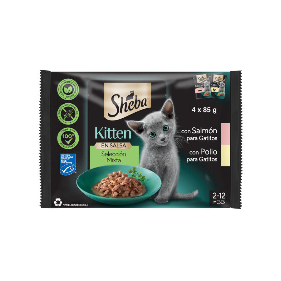 Sheba Kitten Pollo y Salm&oacute;n Sobre en Salsa para gatos