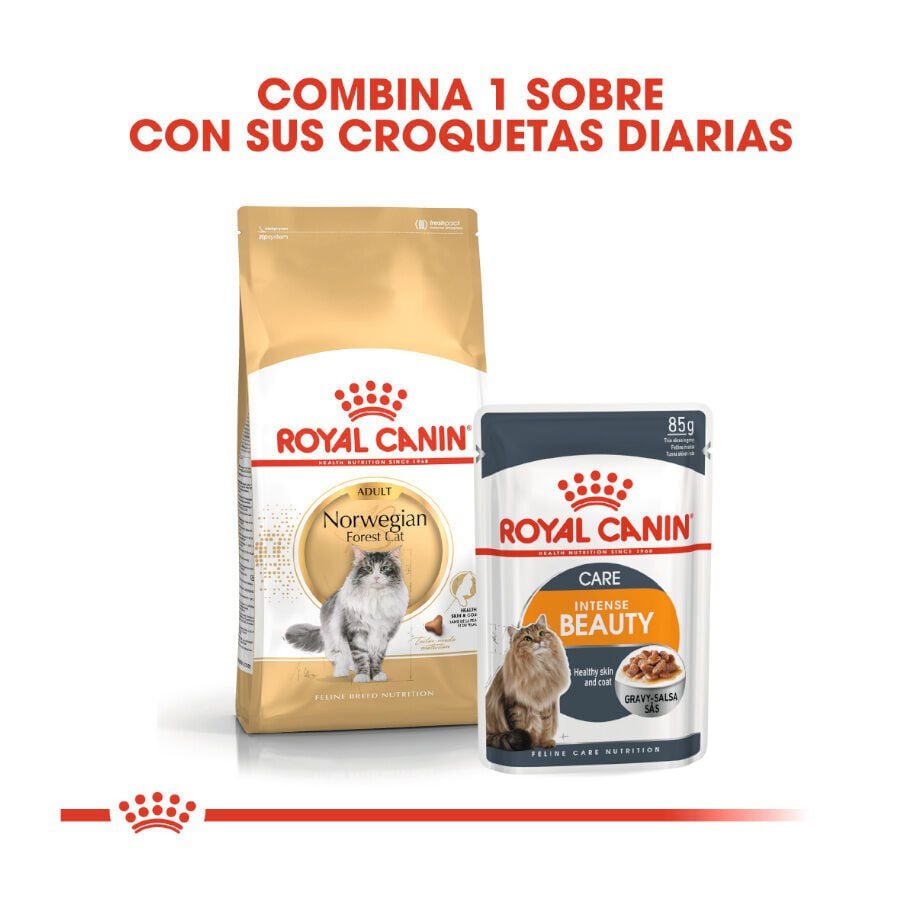 10 kg Royal Canin Adult Norwegian Forest pienso para gatos, , large indicador imagen numero 3