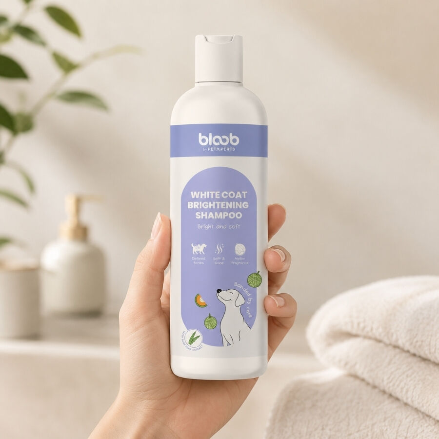 Bloob Champ&uacute; Realzador Mantos Blanco Mel&oacute;n para perros, , large Imagen numero 1