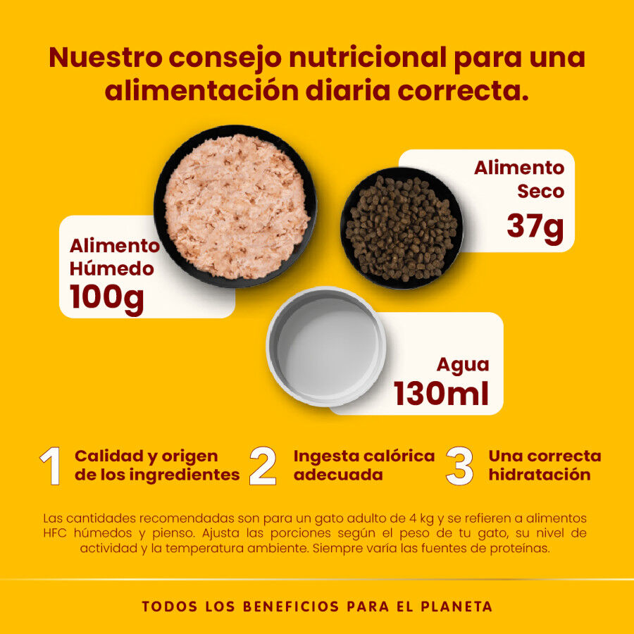50 g Almo Nature HFC Sterilised At&uacute;n del Atlantico en sobre para gatos, , large indicador imagen numero 4