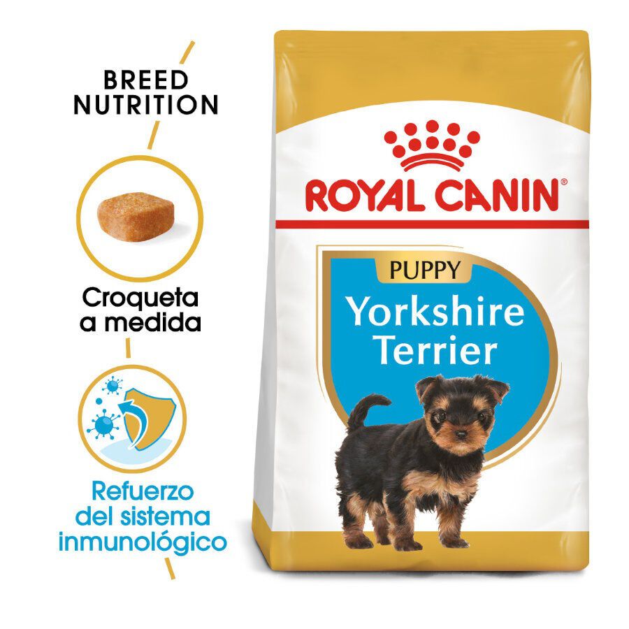 7.5 kg Royal Canin Puppy Yorkshire Terrier pienso para perros, , large Imagen numero 2
