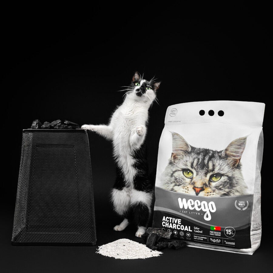Weego Active Charcoal Arena aglomerante para gatos, , large indicador imagen numero 5