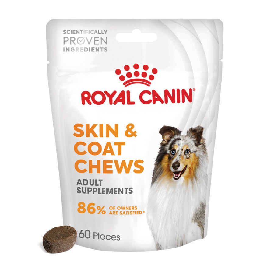 240 g Royal Canin Skin & Coat Chews Adult Suplemento nutricional para perros, , large Imagen numero 1