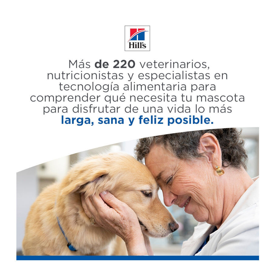 85 g Hill's Science Plan Kitten Pescado Azul sobre para gatos, , large Imagen numero 8