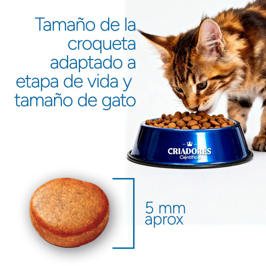 2 kg Criadores Cient&iacute;fico Kitten pollo pienso para gatos&nbsp;, , large Imagen numero 7