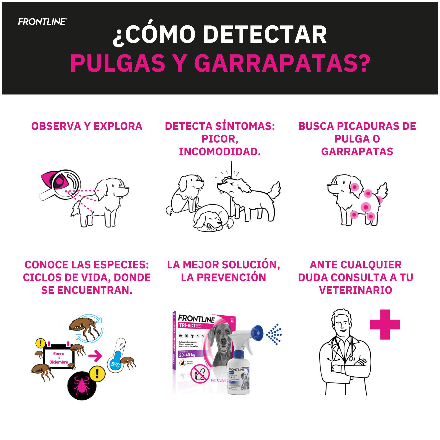 Frontline Spray Antiparasitario para perros y gatos, , large indicador imagen numero 7