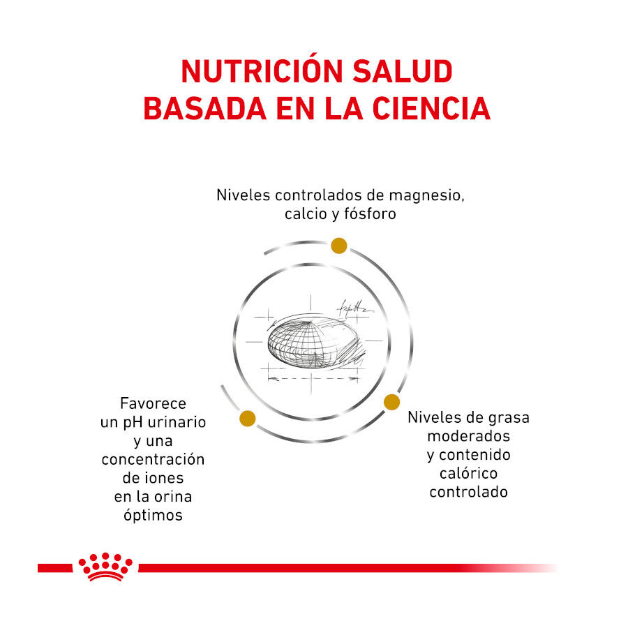 9 kg Royal Canin Veterinary Urinary Moderate Calorie pienso para gatos, , large indicador imagen numero 3