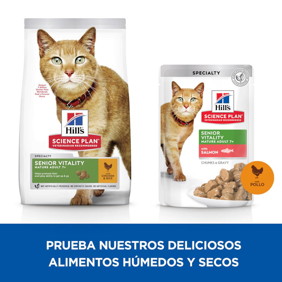 12 sobres x 85 g Hill's Science Plan Senior Vitality Pollo y Salm&oacute;n Sobre en salsa para gatos, , large Imagen numero 4
