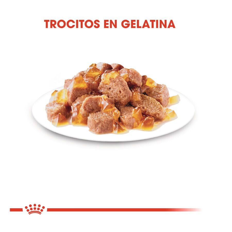 85 g Royal Canin Instinctive gelatina sobres para gatos, , large Imagen numero 3