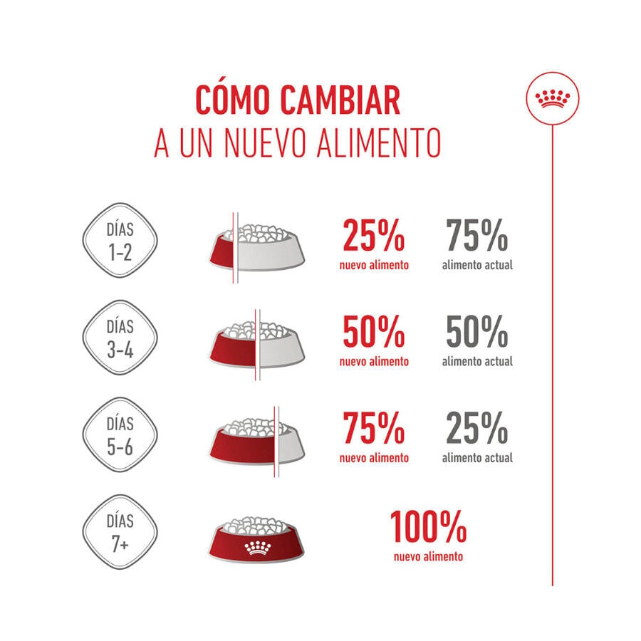 15 kg Royal Canin Puppy Maxi pienso para perros, , large indicador imagen numero 10