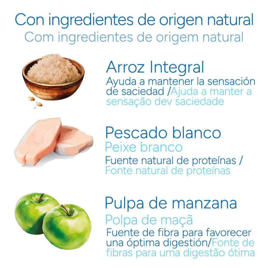 2 kg Criadores Cient&iacute;fico Senior +12 Pescado pienso para gatos, , large indicador imagen numero 5