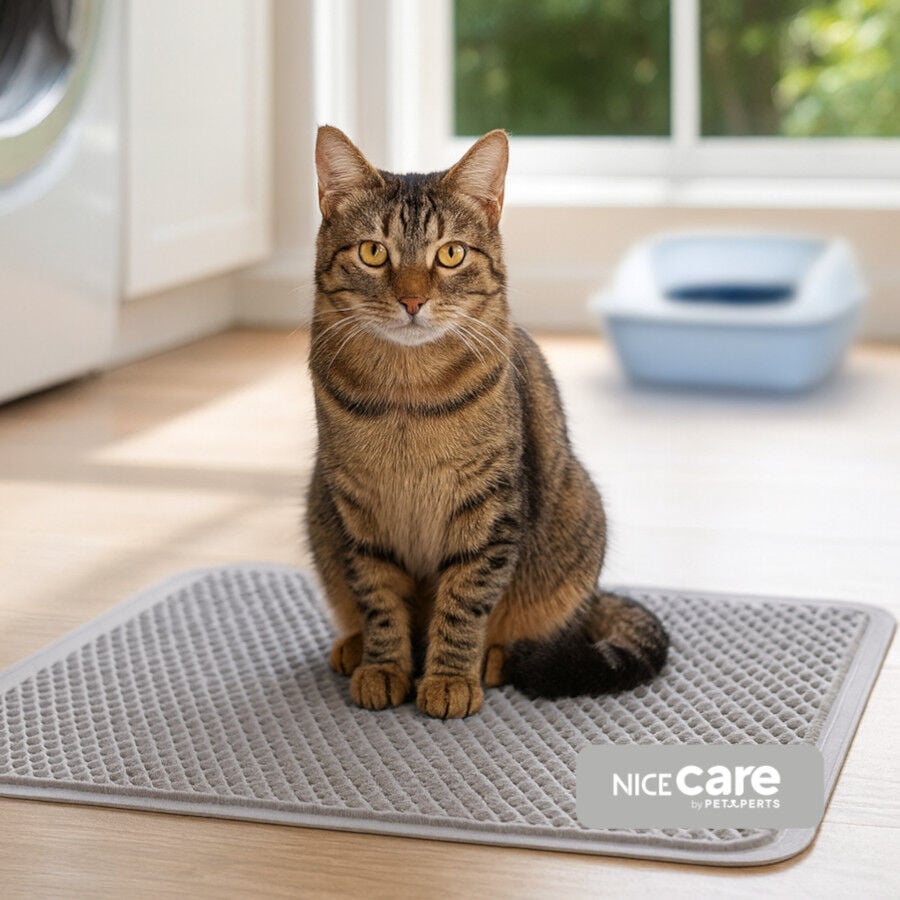 Nice Care Alfombrilla Rect&aacute;ngulo para gatos