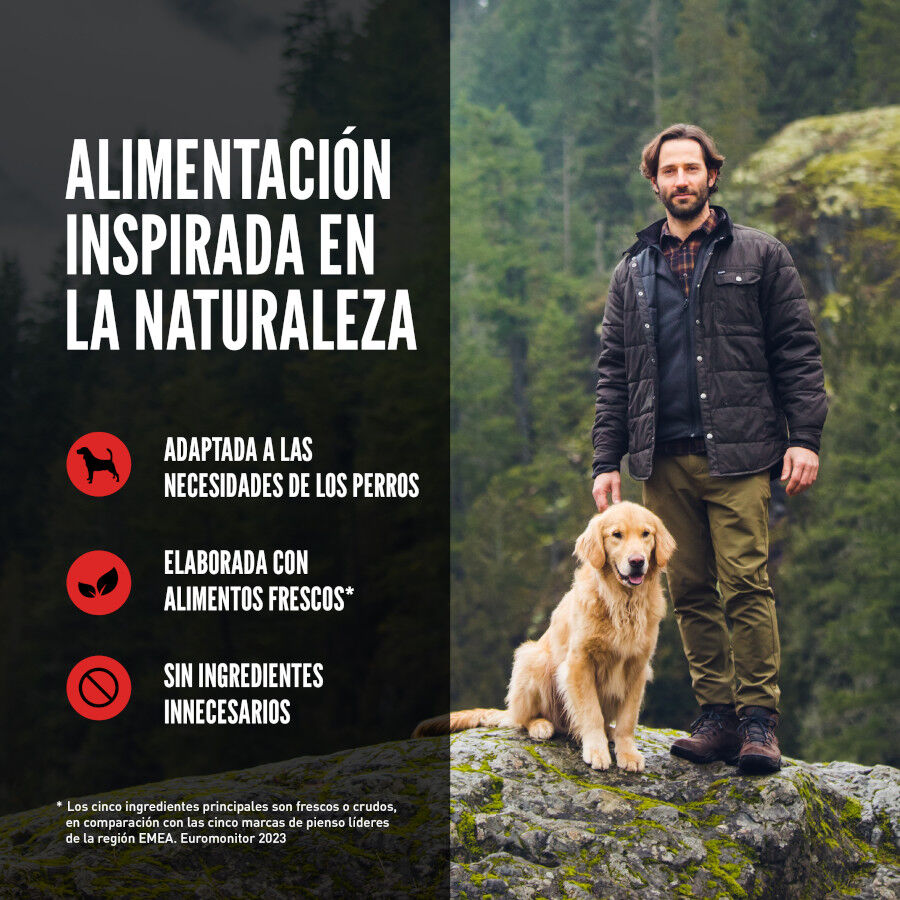 Orijen Large Breed Adult Pienso para perros, , large indicador imagen numero 6