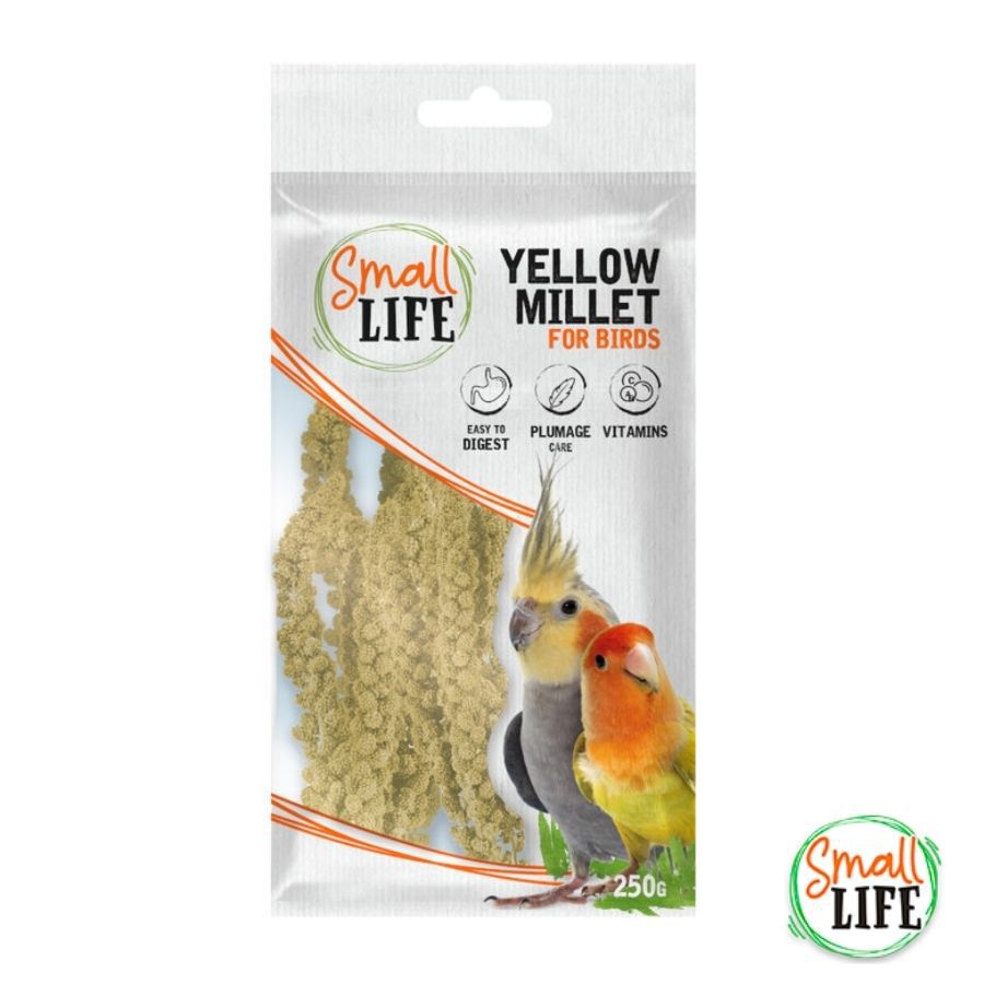 Small Life Kit de Iniciaci&oacute;n para p&aacute;jaros, , large indicador imagen numero 3