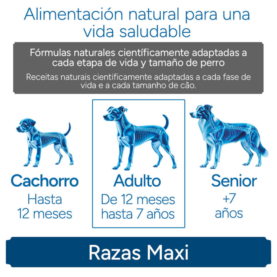 12 kg Criadores Cient&iacute;fico Adulto Maxi Pienso Pollo para perros, , large indicador imagen numero 11