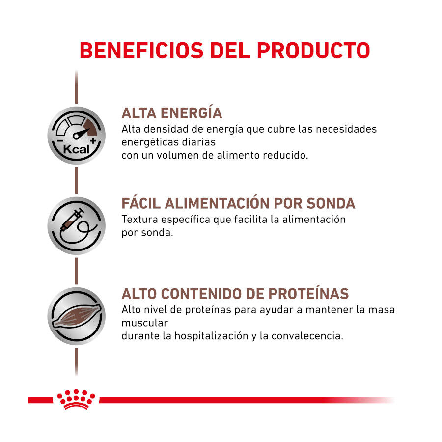 195 g Royal Canin Veterinary Recovery lata para perros y gatos, , large indicador imagen numero 2