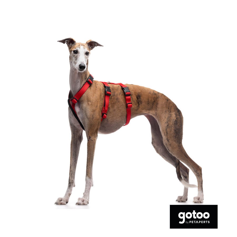 Gotoo Arn&eacute;s antiescape rojo para perros, , large indicador imagen numero 3