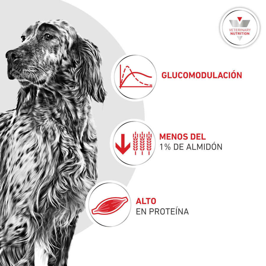 195 g Royal Canin Veterinary Diabetic latas para perros, , large indicador imagen numero 4
