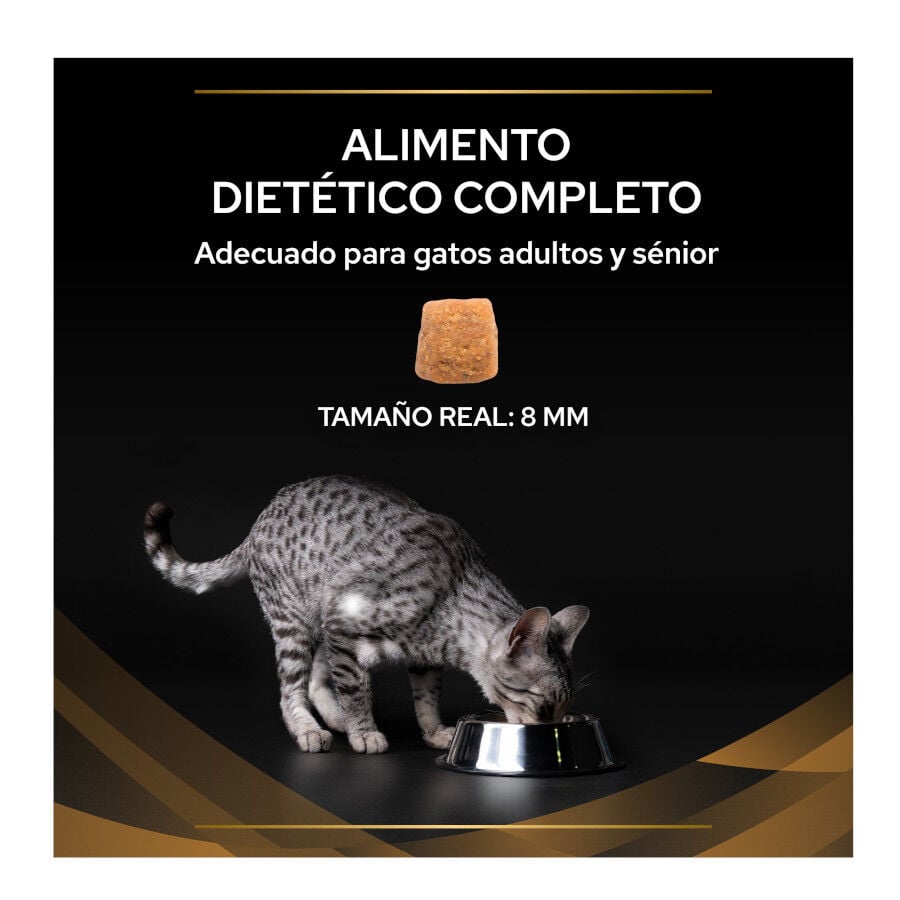 5 kg Pro Plan Veterinary Diets Renal Advanced Care pienso para gatos, , large indicador imagen numero 4