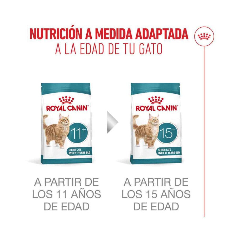 2 kg Royal Canin Ageing 11+ Sterilised pienso para gatos&nbsp;senior, , large indicador imagen numero 13