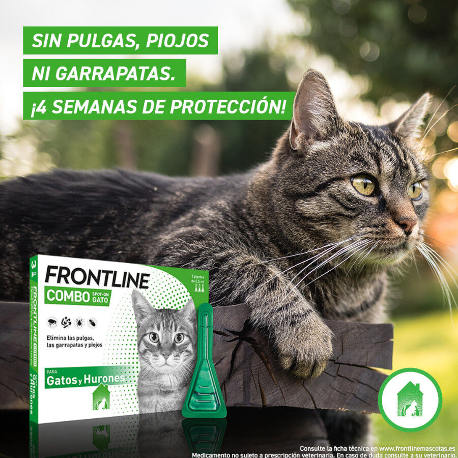 Frontline Combo Pipetas Antiparasitarias para gatos y hurones, , large indicador imagen numero 4