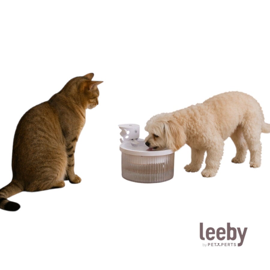 Leeby Fuente de Agua sin Cables Blanco para perros y gatos