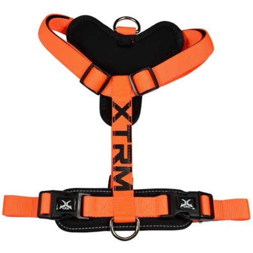 Nayeco X-TRM Cronos Ne&oacute;n naranja arn&eacute;s para perros Imagen numero 1