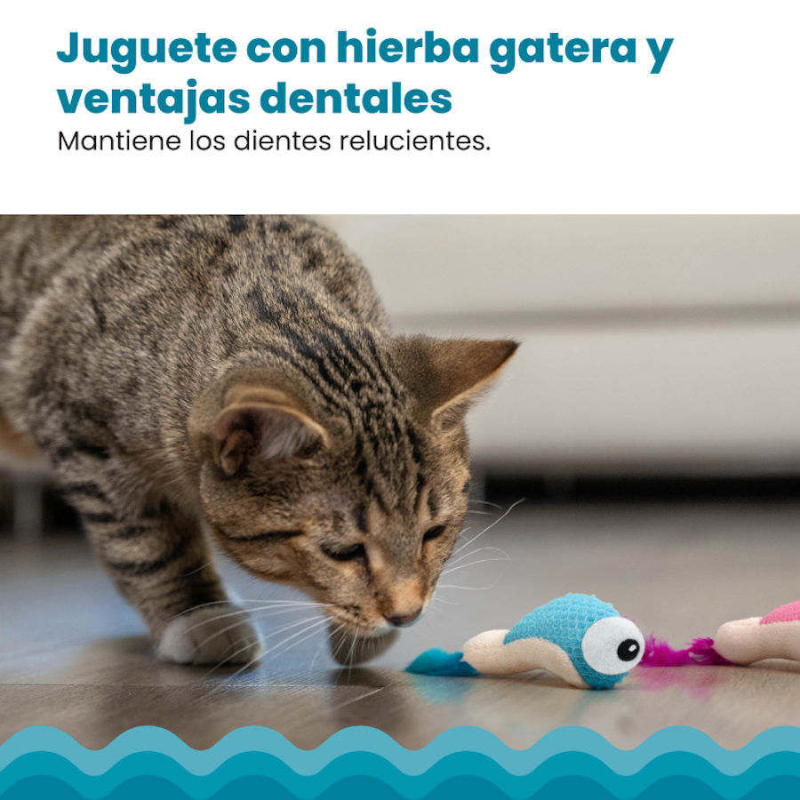 Catstages Dental Shrimpies Peluches con Plumas para gatos, , large Imagen numero 4