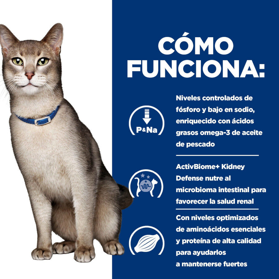 3 kg Hill's Prescription Diet kidney Care k/d salm&oacute;n pienso para gato, , large Imagen numero 11