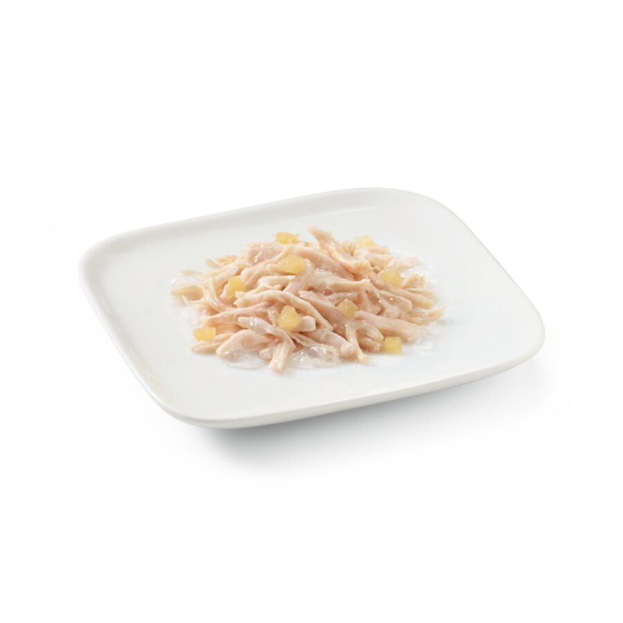 150 g Schesir Adult pollo con manzana lata para perros, , large Imagen numero 2