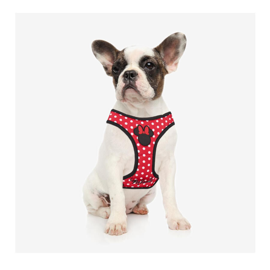 Disney Minnie Mouse Arn&eacute;s Estampado para perros, , large indicador imagen numero 2