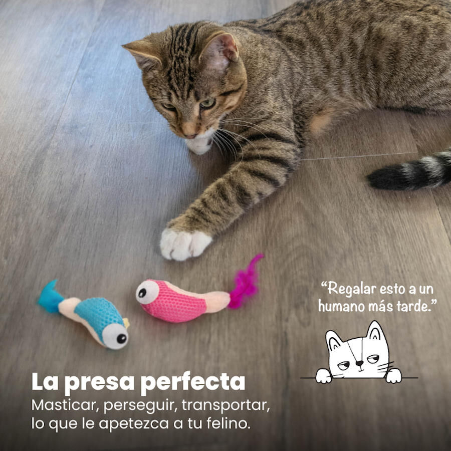 Catstages Dental Shrimpies Peluches con Plumas para gatos, , large indicador imagen numero 2
