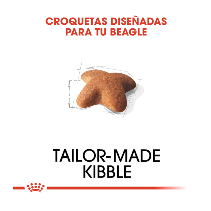 12 kg Royal Canin Adult Beagle pienso para perros, , large indicador imagen numero 5