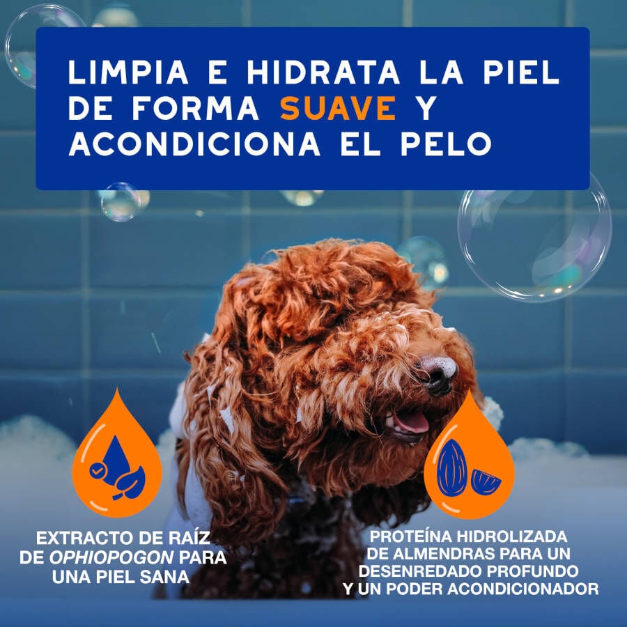 Ceva Douxo Spa Champ&uacute; 2 en 1 Desenredante para perros, , large Imagen numero 7