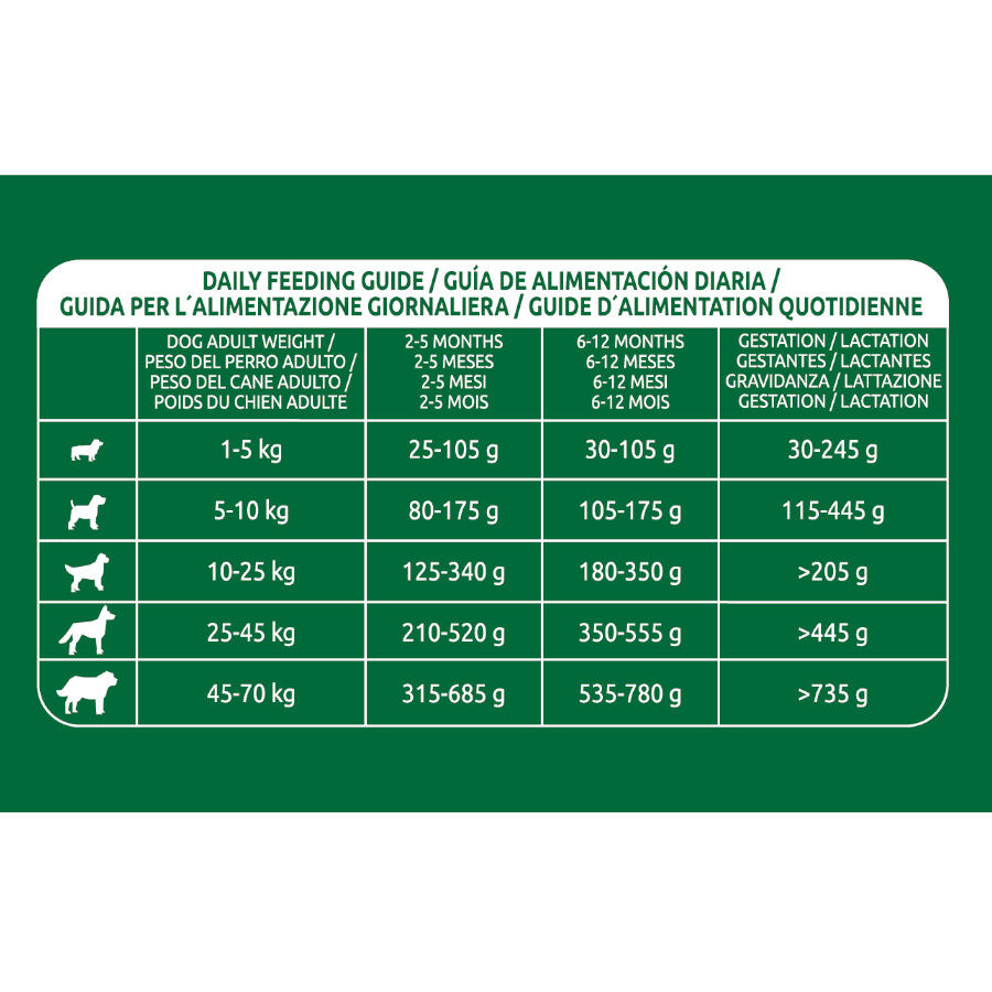 12 kg Libra Puppy Pollo y Arroz pienso para perros, , large indicador imagen numero 4