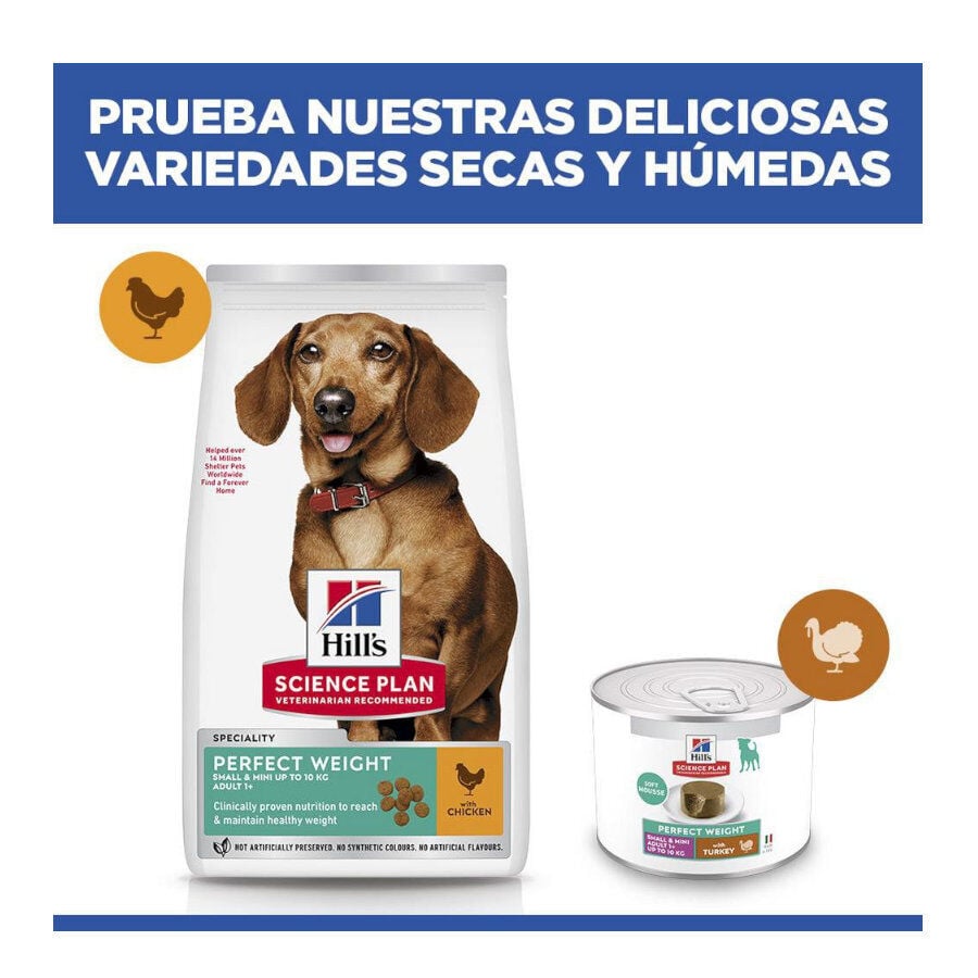 6 kg Hill's Science Plan Perfect Weight Adult Small y Mini pienso para perros, , large indicador imagen numero 8