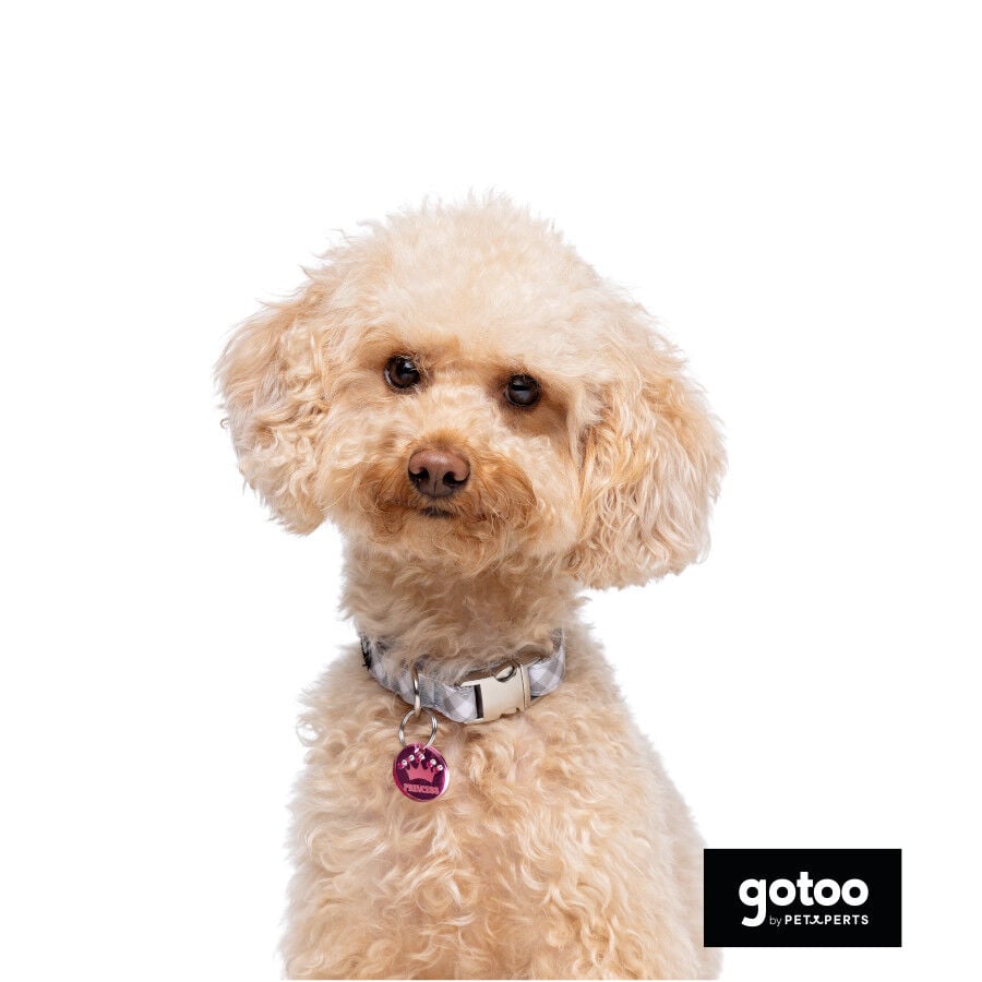 Gotoo Collar estampado cuadro vichy gris para perros, , large Imagen numero 3