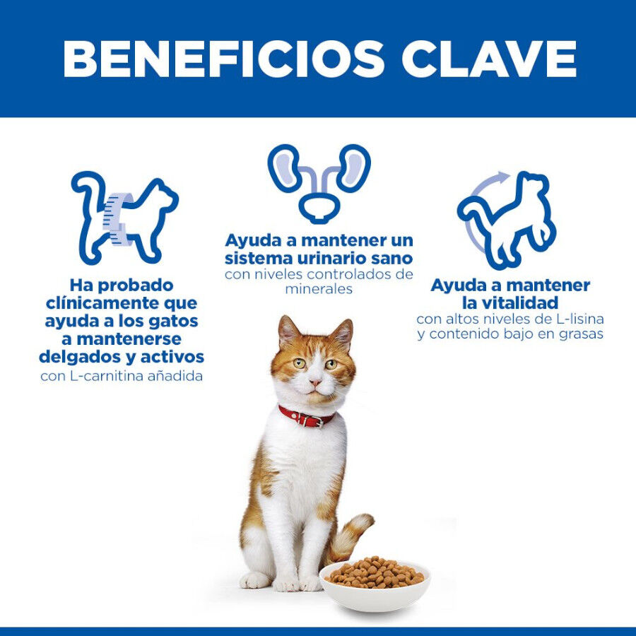7 kg Hill's Science Plan Sterilised Young Adult Pato pienso para gatos, , large indicador imagen numero 5