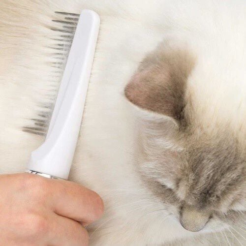 Catit Grooming Kit de belleza para gatos de pelo largo, , large Imagen numero 3